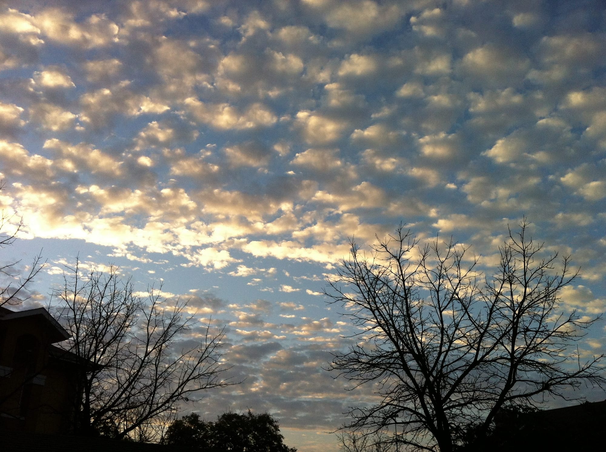 Bunch of clouds that look like torn up cotton balls