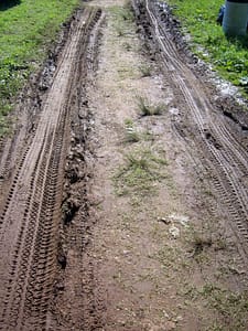 Tire Tracks in Mud